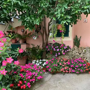 Orchidea , Finale Ligure Italia